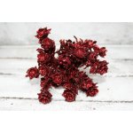Autronic Větvička s glitry 20 x 15 cm Barva: Červená – Hledejceny.cz