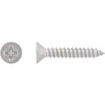 Vrut do plechu se zápustnou hlavou PH2 plný závit bíle pozink. 5,5x13 mm, 12 ks – Hledejceny.cz