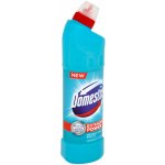 Domestos 24H Plus čisticí přípravek Atlantic fresh 750 ml – Hledejceny.cz