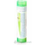 ARSENICUM IODATUM POR 5CH GRA 1X4G – Hledejceny.cz