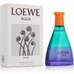 Loewe Agua de Loewe Miami toaletní voda unisex 100 ml – Hledejceny.cz