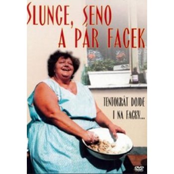 Slunce, seno a pár facek DVD