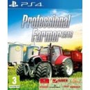 Professional Farmer 2016