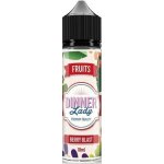 Dinner Lady Fruits Berry Blast Shake & Vape 10 ml – Zboží Dáma