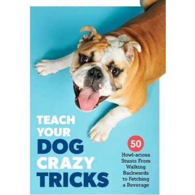 Teach Your Dog Crazy Tricks: 50 Howl-Arious Stunts from Walking Backwards to Fetching a Beverage Van Zon DesireePaperback – Hledejceny.cz