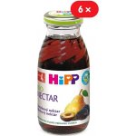 HiPP BIO Švestkový nektar 6 x 200 ml – Hledejceny.cz