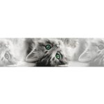 AG Design WB-8217 samolepící bordura Kočka, rozměry 0,14 x 5 m – Zboží Dáma