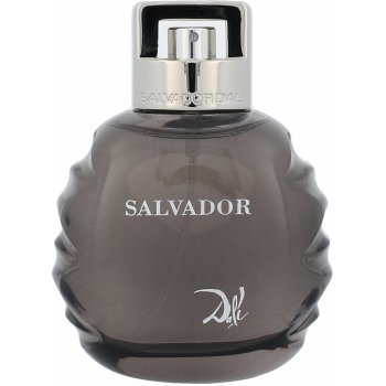 Salvador Dali Salvador toaletní voda pánská 100 ml