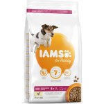 Iams Dog Senior Small & Medium s kuřecím masem 3 kg – Hledejceny.cz