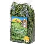 JR Farm Zelený oves 100 g – Zbozi.Blesk.cz