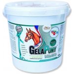 Orling Gelapony VitaMin 10,8 kg – Hledejceny.cz