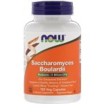 Now Foods Foods Saccharomyces Boulardii 120 kapslí – Hledejceny.cz