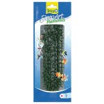 Tetra Hygrophila M 23 cm – Zboží Mobilmania