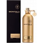 Montale Aoud Damascus parfémovaná voda unisex 100 ml – Hledejceny.cz