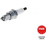 NGK Zapalovací svíčka 4008 – Hledejceny.cz