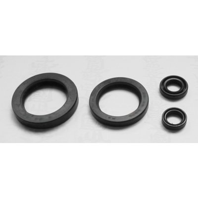 TOURMAX sada těsnění motoru YAMAHA XJ 900 DIVERSION 95-97 vyrobeno v Japonsku – Sleviste.cz