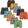 Boxerky, trenky, slipy, tanga Styx art 10 PACK pánské trenky klasická guma vícebarevné (10A118524789234)