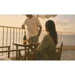 Champagne Veuve Clicquot Brut Yellow Label 12% 0,75 l (karton) – Zboží Dáma