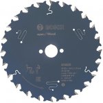 Bosch Pilový kotouč Expert for Wood 160 x 20 x 1,8 mm, 24 – Zboží Mobilmania