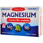 Terezia Magnesium + vitamin B6 a meduňka 30 kapslí – Hledejceny.cz
