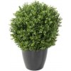 Květina BUXUS KOULE RED DAY UV, 65cm