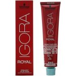 Schwarzkopf Igora Royal Highlifts 12-1 speciální blond popelavá 60 ml – Zboží Mobilmania