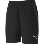 Puma teamFINAL 21 Casuals shorts – Zboží Mobilmania