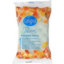 Calypso Passion Essentials Vitality koupelová houba