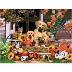 Norimpex Diamantový obrázek Domácí mazlíčci před domem 30 x 40 cm 1007437 – Zbozi.Blesk.cz