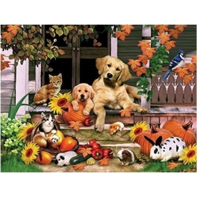 Norimpex Diamantový obrázek Domácí mazlíčci před domem 30 x 40 cm 1007437 – Zbozi.Blesk.cz