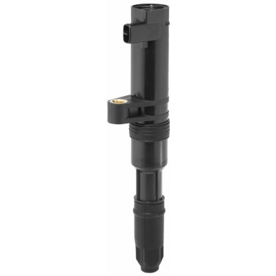 Zapalovací cívka BorgWarner (BERU) ZS552 – Hledejceny.cz