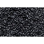 Les fruits du paradis Fazole černá Bio 25 kg – Hledejceny.cz