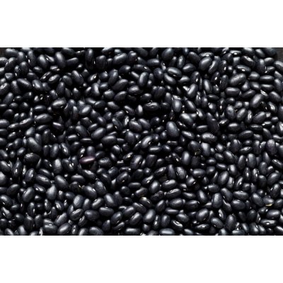 Les fruits du paradis Fazole černá Bio 25 kg – Hledejceny.cz