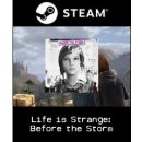 hra pro PC Life is Strange: Before the Storm