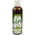 Milota Andělika čínská 50 ml – Hledejceny.cz