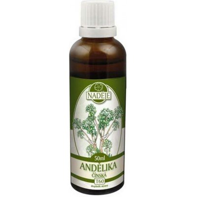 Milota Andělika čínská 50 ml – Hledejceny.cz