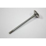 Výfukový ventil AUTOMEGA 130107410 – Zboží Mobilmania