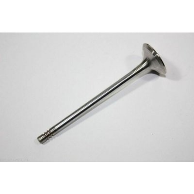 Výfukový ventil AUTOMEGA 130107410 – Zboží Mobilmania