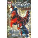 Komiks a manga Spider-man 7 - Hříchy minulosti – Straczynski Michael J., Deodato Mike jr.,