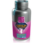 Altervet Cartilan MSM+kurkumin 130 g 100 tbl – HobbyKompas.cz
