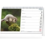 Stolní Myslivecký 2026 – Sleviste.cz