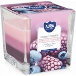 Bispol Aura Frozen Berries 170 g – Zboží Dáma