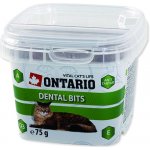 Ontario Snack Cat denta bits 75 g – Hledejceny.cz