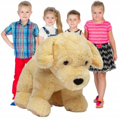 pro chlapce Pes Golden Retriever 30 cm – Hledejceny.cz