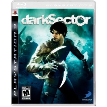 Dark Sector