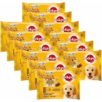 Pedigree Junior v želé 48 x 100 g – Hledejceny.cz