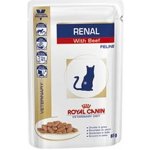 Royal Canin Veterinary Diet Cat Renal with Beef Feline 85 g – Hledejceny.cz