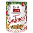 Brit Care Cat Snack Christmas Superfruits pamlsek 100 g