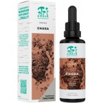 Kääpä Mushrooms Bio Chaga 50 ml – Hledejceny.cz