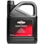 Briggs & Stratton SAE 30 5 l – Sleviste.cz